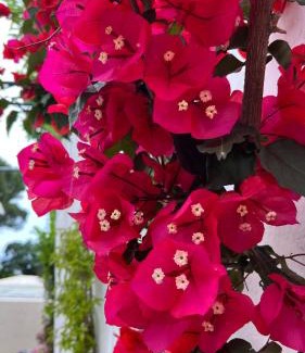 Anacapri Hotel | Hotel Victoria Place