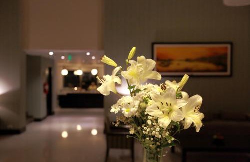 General Roca Hotel | Hotel y Casino Del Río - General Roca