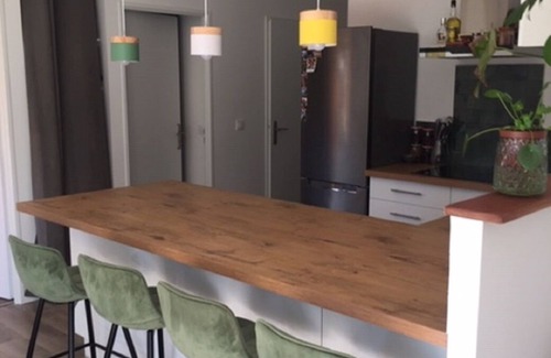 Benesse-Maremne House | House 70m2 10min beaches Hossegor/Capbreton/Seignosse/LabenneWith adorable cat