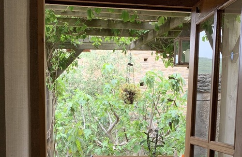 Pietracorbara House | House