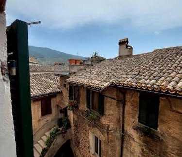 Trevi Apartment | House of Leaves