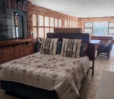 Muckleneuk Bed & Breakfast | House Olive