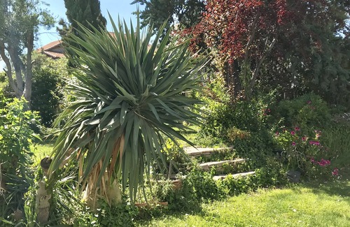 La Plage House | House Roucas. 80m2, large garden Facing the beach