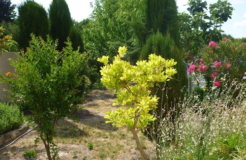Lezignan-Corbieres House | house/villa - Lezignan Corbières