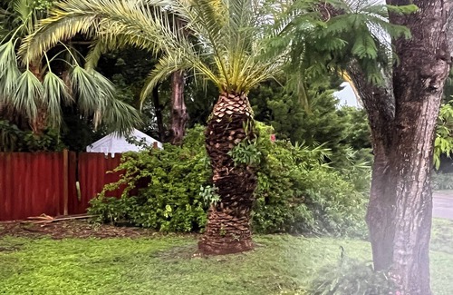 South Venice House | House w/pool & spa near North Manasota Beach. 2-bedroom 2 Bath w/AC & WiFi