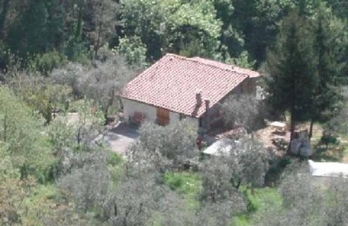 Aramo House | House with garden with olive trees