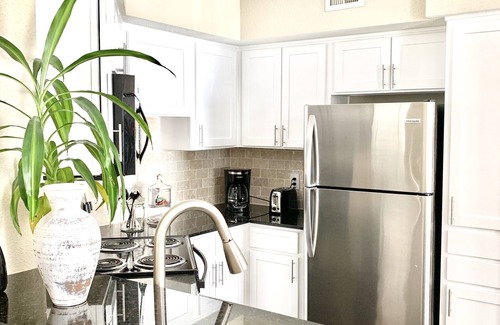 Astrodome Apartment | Houston Medical Center Sparkling condo