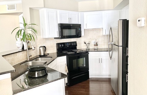 Astrodome Apartment | Houston Medical Center Sparkling condo