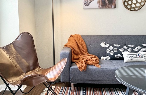 Astrodome Apartment | Houston Medical Center Sparkling condo