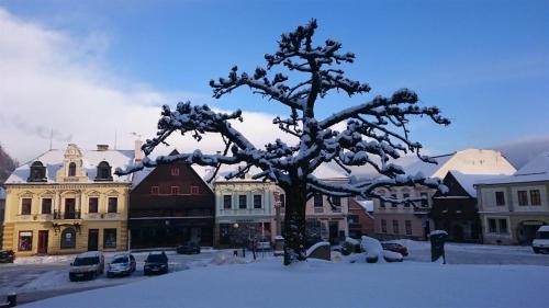 Jablonne nad Orlici Apartment | Hradiska