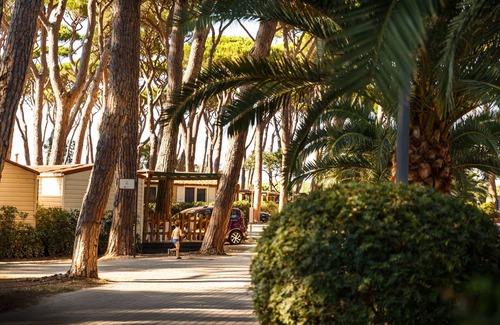 San Vincenzo Apartment | Hu Park Albatros Village