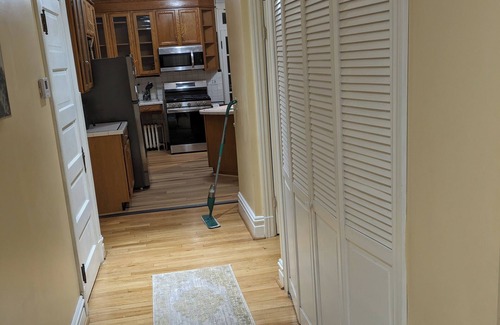 Tower Grove East Apartment | Huge 2-bedroom apartment 2 Blocks from Tower Grove Park!