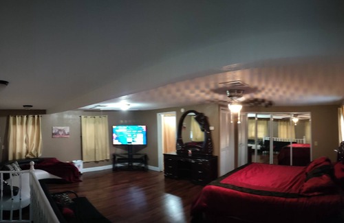 Lutz House | Huge Two Suite on the Lake