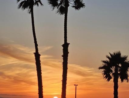 Huntington Beach Hotel | Huntington Surf Inn