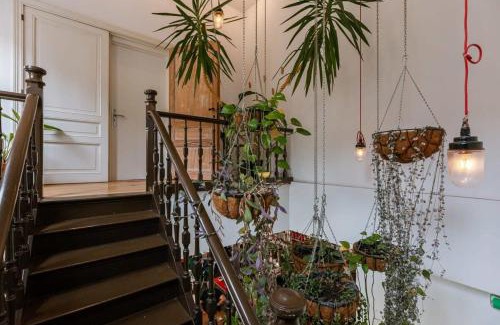 Ghent Apartment | Huswell - The Jungle' Studio in the heart of Ghent