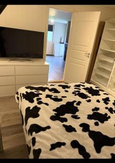 Kristiansand Apartment | Hybel hauslia kristiansand