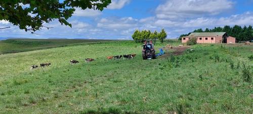 Mooirivier House | Hythe Cottages