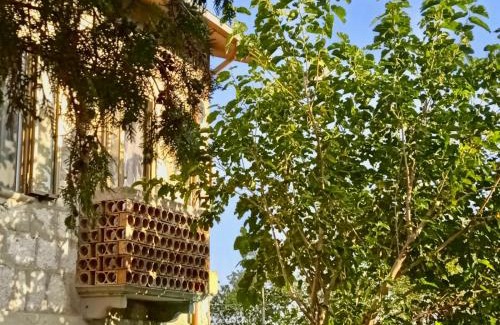 Pennadomo Bed & Breakfast | i 3 falchi Bed & Breakfast