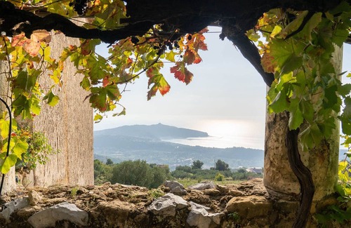 Centola Bed & Breakfast | Il Castello di San Sergio