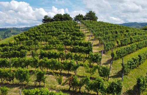 Treiso House | Il Girasole Apartments