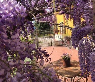 Arpino Apartment | Il Lanificio airb&b