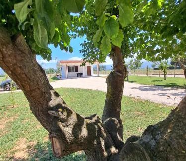 Pontinia House | Il Melograno