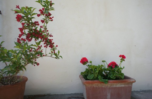 Ciliegi Villa | Il Nibbio, an ancient villa in the heart of Tuscany