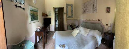 Benevento Bed & Breakfast | Il nuovo fiorile
