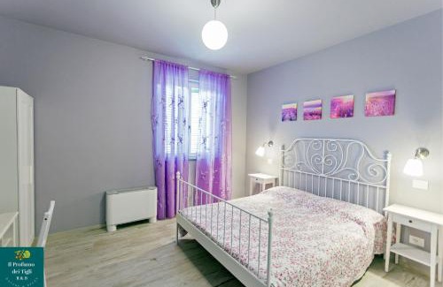 Formigine Bed & Breakfast | Il Profumo dei Tigli R&B, elegante casa nuova a Formigine
