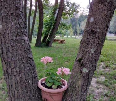 Lepoglava House | Imanje Izgubljena Dolina