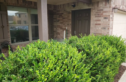 McKinney House | In Law Suite