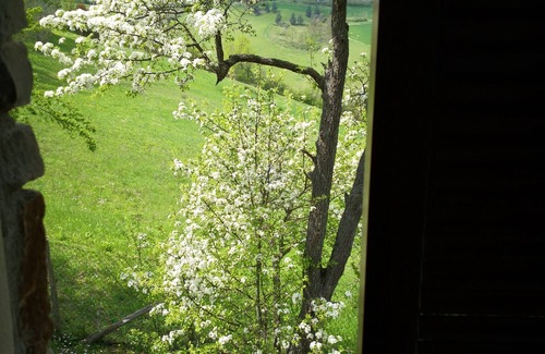 Santo Stefano Villa | Independent panoramic villa/relax on the hills of Bologna