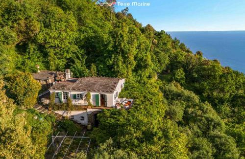 Levanto Villa | Infinito, Terre Marine