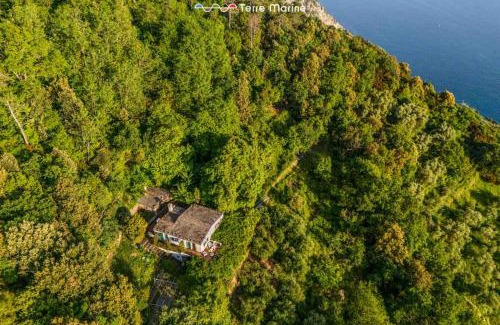 Levanto Villa | Infinito, Terre Marine