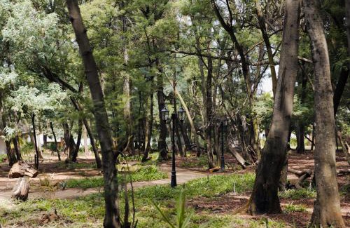 Tierpoort Cabin | Ingaadi