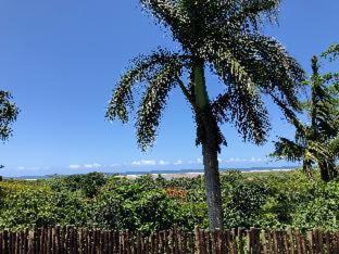 St. Lucia Apartment | Ingwenya Lodge