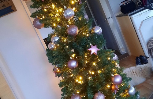 Tewitfield Cabin | Inside No. 9 Retreat