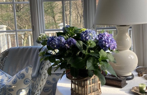 Weston House | Interior Designer's Enchanting Home with Private Beach 1.5hrs from Brooklyn