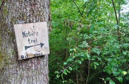 Cosby House | Into the Wild - 2 Bedrooms, 3 Baths, Sleeps 6 Home by RedAwning