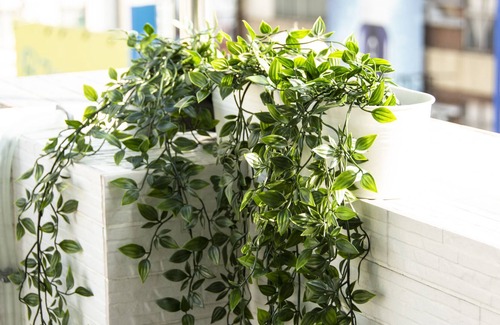 Tainan City Centre House | ioio Tainan Homestay