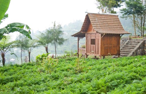 Hargomulyo Resort | Ipienk Resort Tawamangu