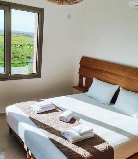 Faistos Villa | IRINI. seaview - beach - pool - privacy