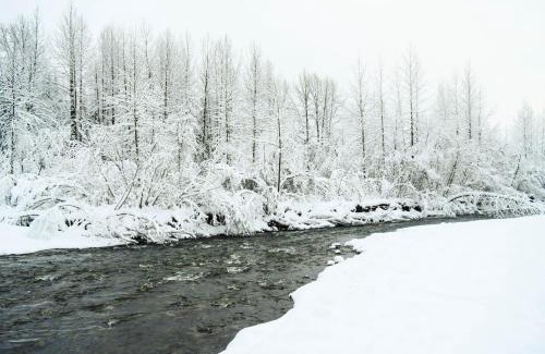 Girdwood House | Iris Pond