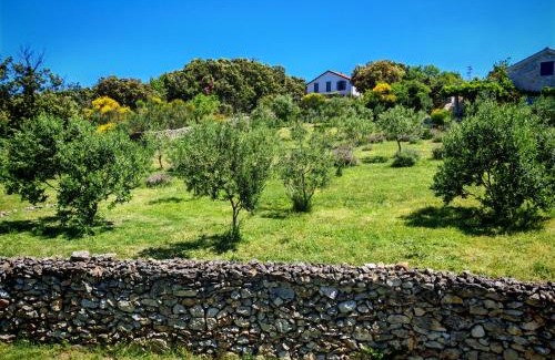 Sveti Jakov Apartment | Island Cres Stivan beautiful views