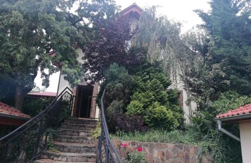 Stupava Bed & Breakfast | Izba v Stupave