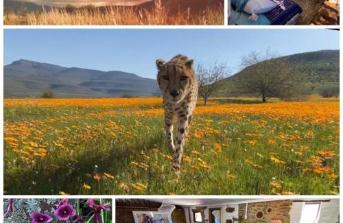 Cederberg House | Iziba Principality