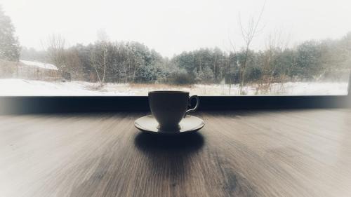 Adamow Apartment | Jaśkowa Stodoła