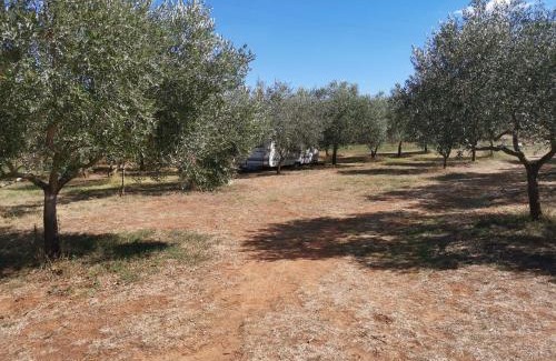 Banjole Other | Jacuzi Cottage in the olive grove