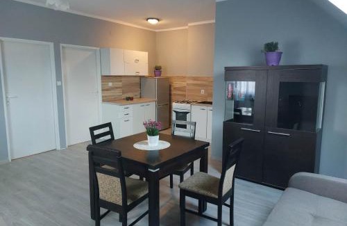 Rydzewo Apartment | Jagodzianka
