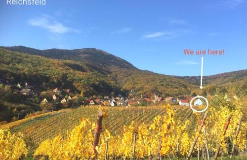 Reichsfeld Apartment | JANÉA Big Blue House